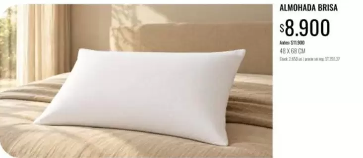 X$ - ALMOHADA BRISA