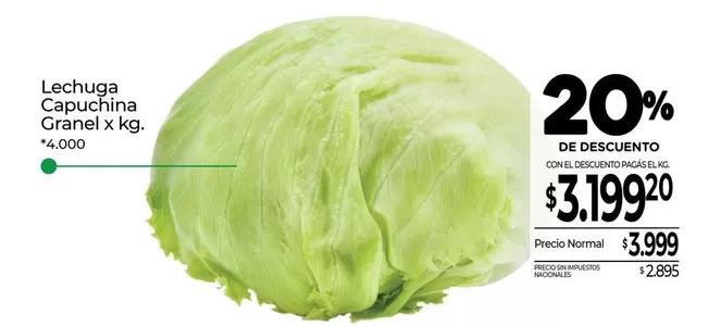 X$ - Lechuga Capuchina Granel