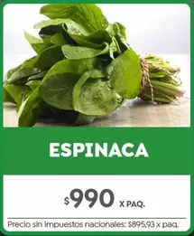 X$ - ESPINACA