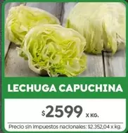 X$ - LECHUGA CAPUCHINA