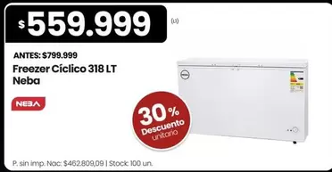 Neba - Freezer Cíclico 318 LT