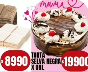 X$ - TORTA SELVA NEGRA