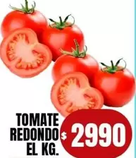 Redondo - TOMATE REDONDO
