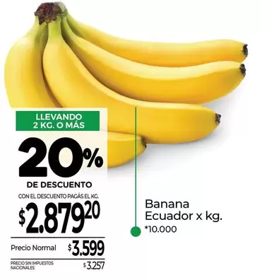 X$ - Banana Ecuador