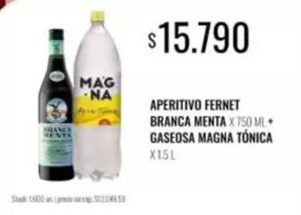 Fernet Branca - APERITIVO FERNET BRANCA MENTA + GASEOSA MAGNA TÓNICA