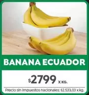 X$ - BANANA ECUADOR