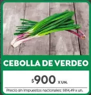 X$ - CEBOLLA DE VERDEO