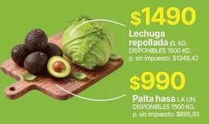 Lechuga repollada
