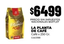 La planta de Café - Café x 250 Gr. Cód:3188