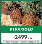 X$ - PIÑA GOLD