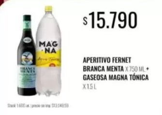 Fernet Branca - APERITIVO FERNET BRANCA MENTA + GASEOSA MAGNA TÓNICA