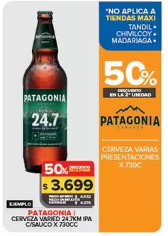 Patagonia - Cerveza IPA C/Sauco