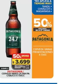 Patagonia - Cerveza IPA C/Sauco