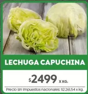 X$ - LECHUGA CAPUCHINA