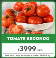 Redondo - TOMATE REDONDO