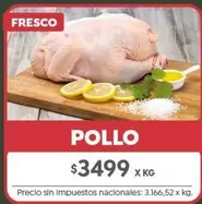 X$ - POLLO