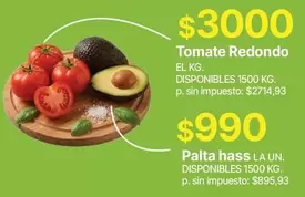 Redondo - Tomate