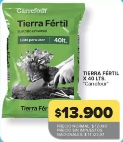Carrefour - Tierra F
uevo