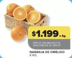 X$ - NARANJA DE OMBLIGO