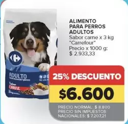 Carrefour - Alimento para perros adultos sabor carne
