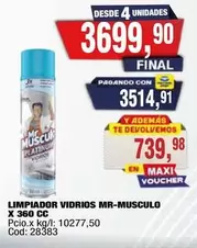 Platinum - LIMPIADOR VIDRIOS MR-MUSCULO X 360 CC