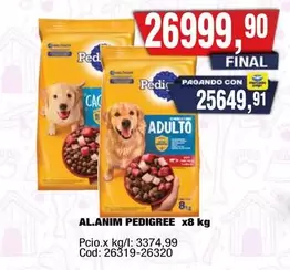 Pedigree - AL.ANIM PEDIGREE