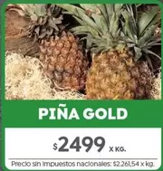 X$ - PIÑA GOLD