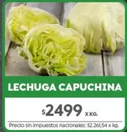 X$ - LECHUGA CAPUCHINA