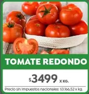 Redondo - TOMATE REDONDO
