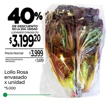 X$ - Lollo Rosa