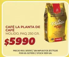 La planta de Café - CAFÉ LA PLANTA DE CAFÉ MOLIDO