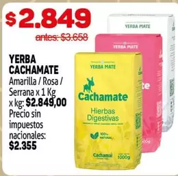 Cachamate - Yerba Amarilla / Rosa / Serrana