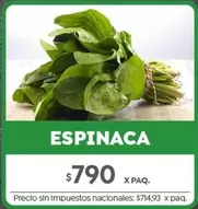 X$ - ESPINACA
