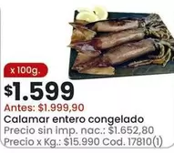 X$ - Calamar entero congelado Cod. 17810(1)