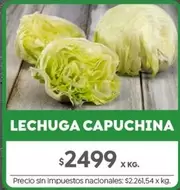 X$ - LECHUGA CAPUCHINA