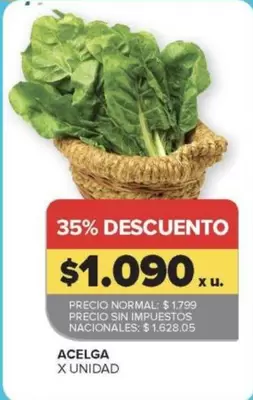 X$ - Acelga