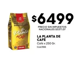 Cabrales - La Planta de Café