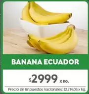 X$ - BANANA ECUADOR