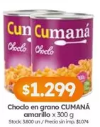 X$ - Choclo en grano