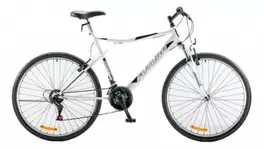 Bicic Futura R26" Mod. 35178  Acero / Susp. Del./ 21 V. Dama