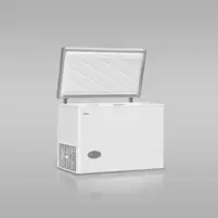 BAMBI FREEZER FH-4100BPa R600 DUAL 377 LTS