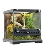 Natural Terrarium para Reptiles e Insectos - Exo Terra