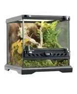 Natural Terrarium para Reptiles e Insectos - Exo Terra