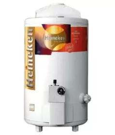 TERMOTANQUE 25 LTS GN AR