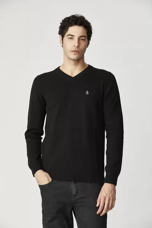 V Neck Sweater Gg12