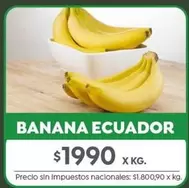 X$ - PALTA