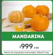 X$ - MANDARINA
