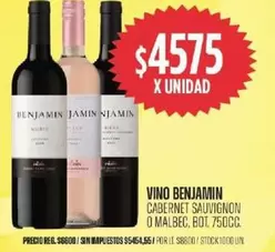 Benjamin - VINO CABERNET SAUVIGNON O MALBEC