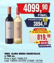 Alma Mora - VINO ALMA MORA VARIETALES Cod: 19055-20704-21606-19759