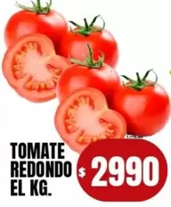 Redondo - TOMATE REDONDO